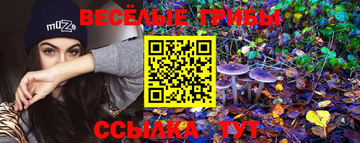 Псилоцибиновые грибы Psilocybine cubensis  Вход с VPN  Новоалександровск  Галлюциногенные грибы Magic Shrooms 