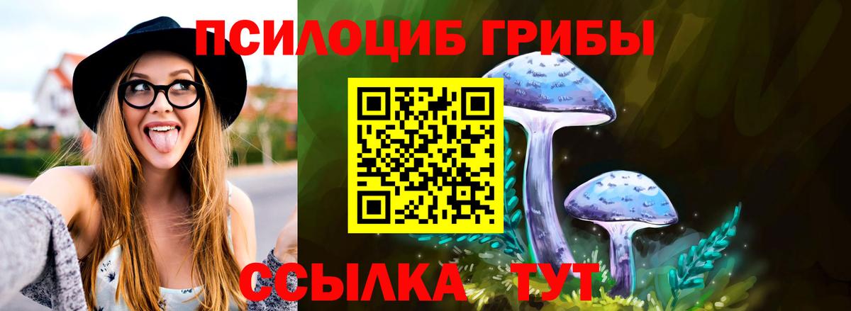 Псилоцибиновые грибы Psilocybine cubensis Новоалександровск