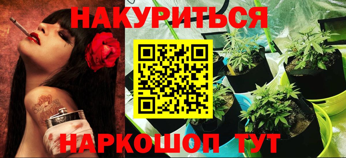 Бошки марихуана SATIVA & INDICA Новоалександровск